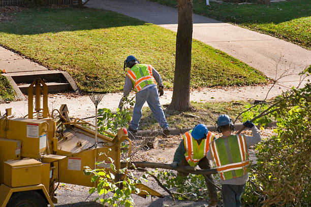 Best Stump Grinding and Removal  in Emerald Lakes, PA